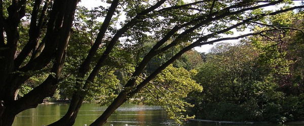 Une balade si agréable au Parc Montsouris